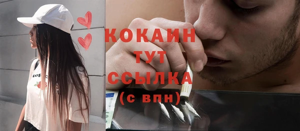 хмурый Алзамай