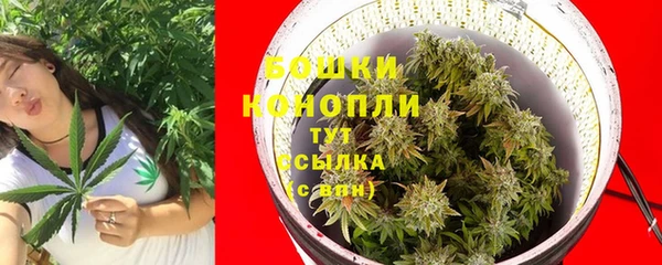 бошки Алексин