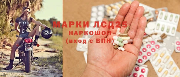 хмурый Алзамай
