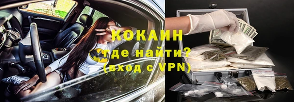бошки Алексин
