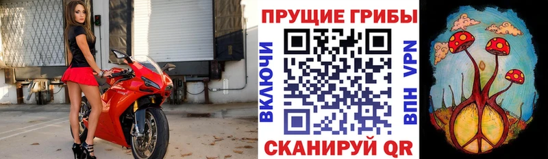 Галлюциногенные грибы GOLDEN TEACHER  ОМГ ОМГ маркетплейс  Венёв 