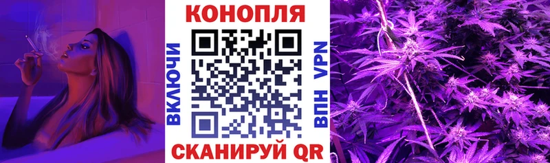 Бошки Шишки марихуана Венёв